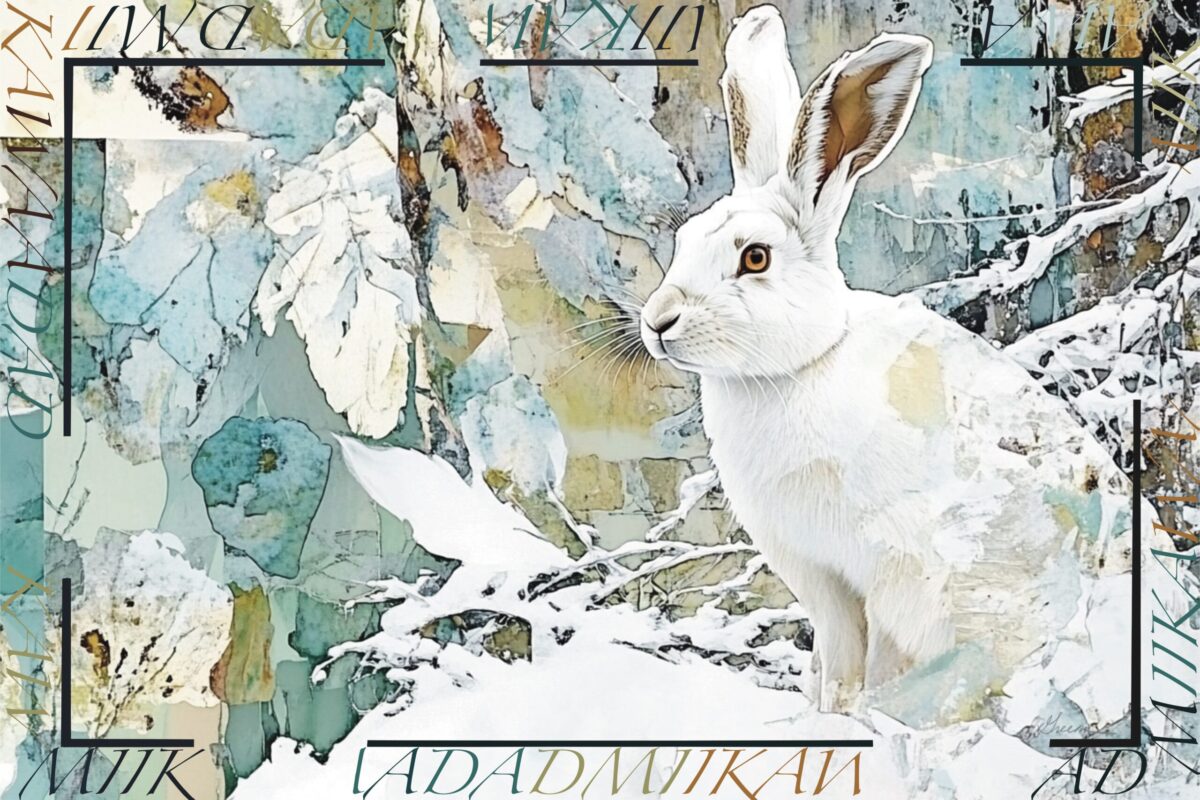 A giclee print of a Snowshoe Hare embraced with Anishinaabemowin by Acclaimed Métis Nature Artist Tracey Lee Green.