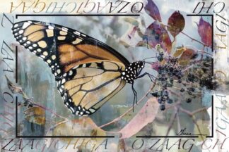 A Beautiful Monarch Butterfly mixed media piece by Acclaimed Métis Nature Artist Tracey Lee Green.